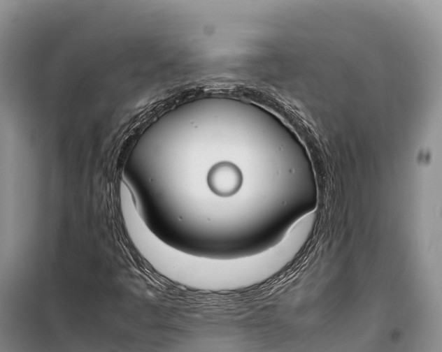 X0000099231445200805151619