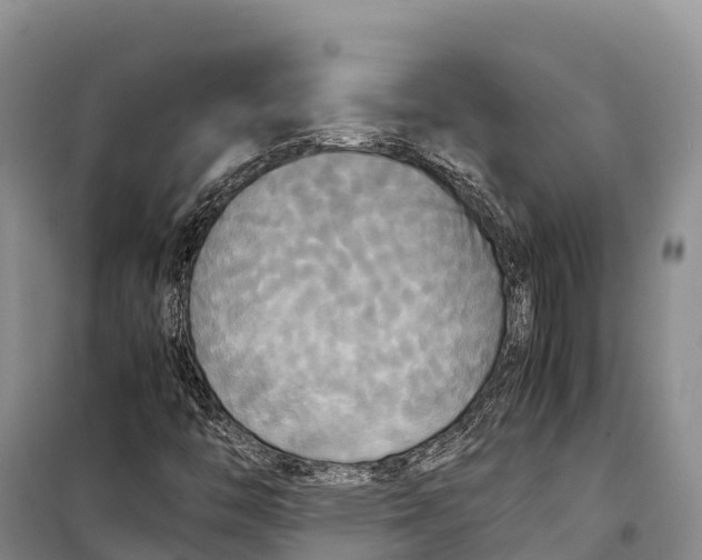 X0000099231446200805151619