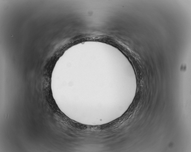 X0000099231447200805151619