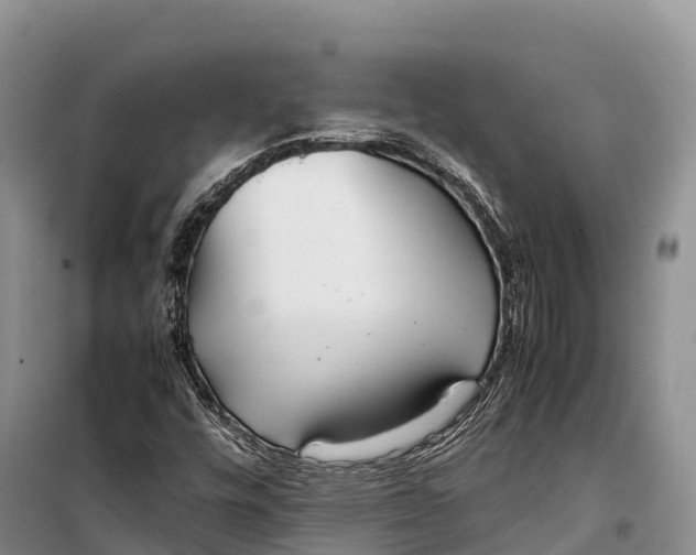 X0000099231448200805151619