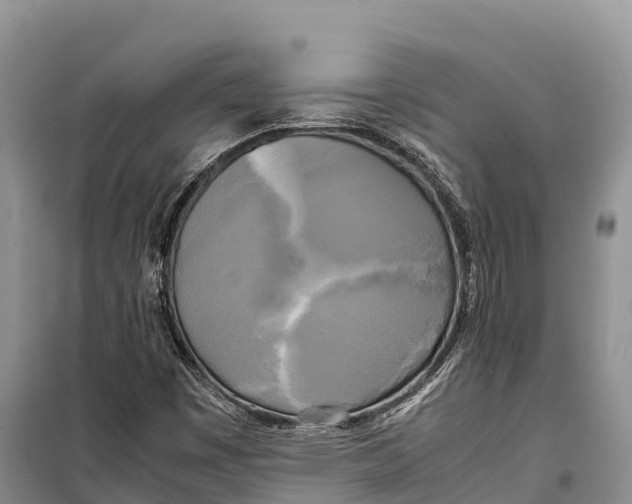 X0000099231449200805151619