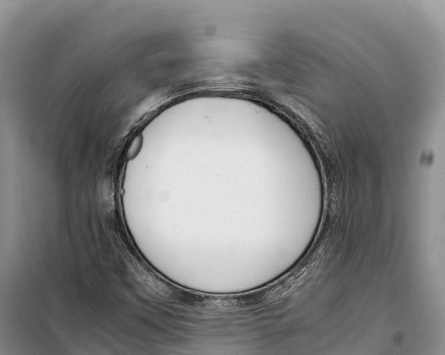 X0000099231451200805151619