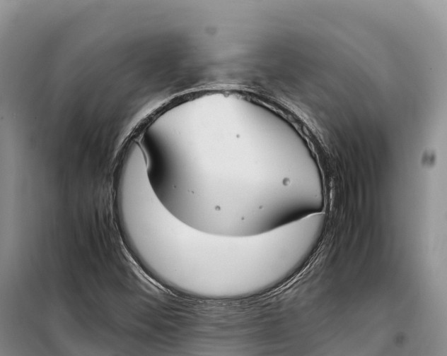 X0000099231452200805151619