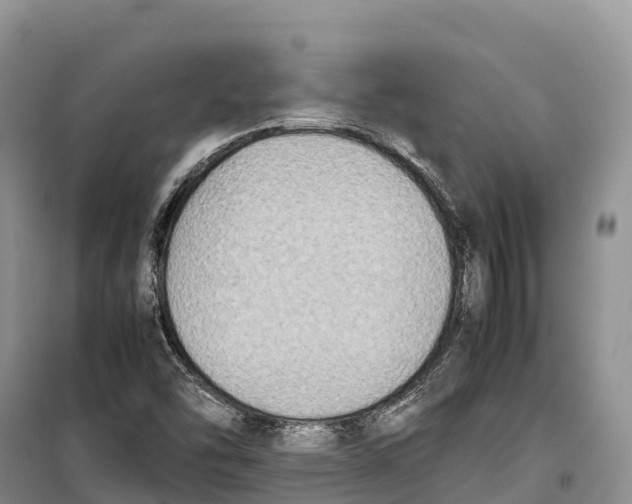 X0000099231454200805151619