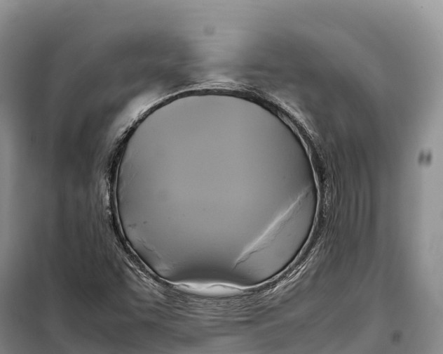 X0000099231455200805151619