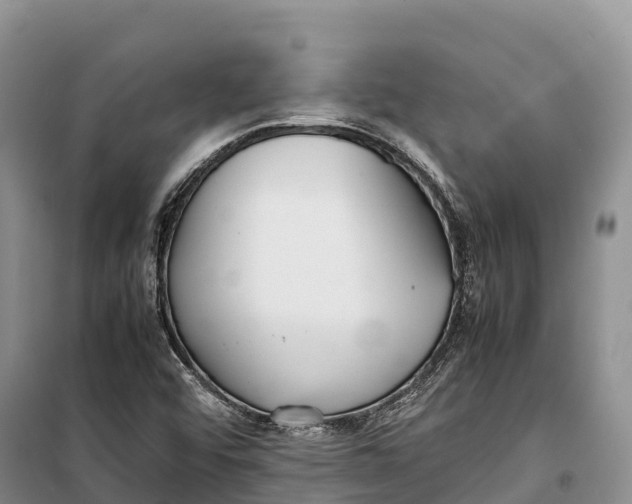 X0000099231456200805151619