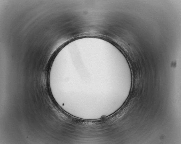 X0000099231458200805151619