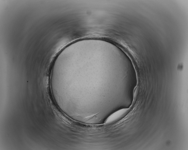 X0000099231459200805151619