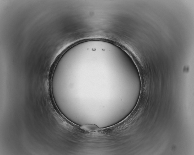 X0000099231460200805151619