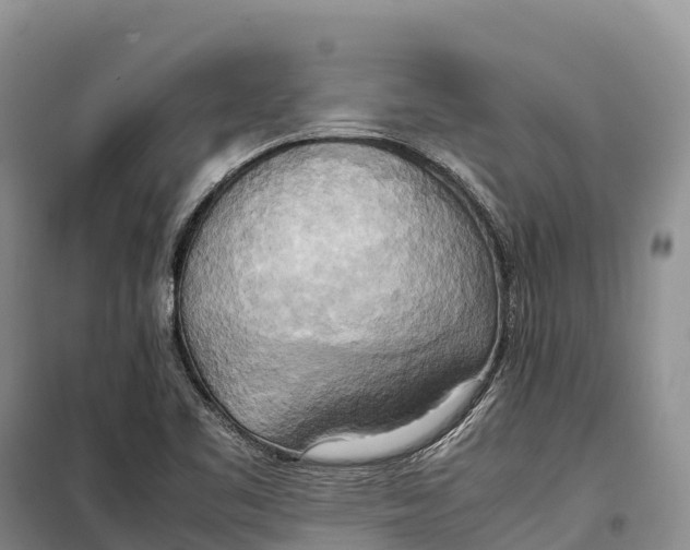 X0000099231461200805151619