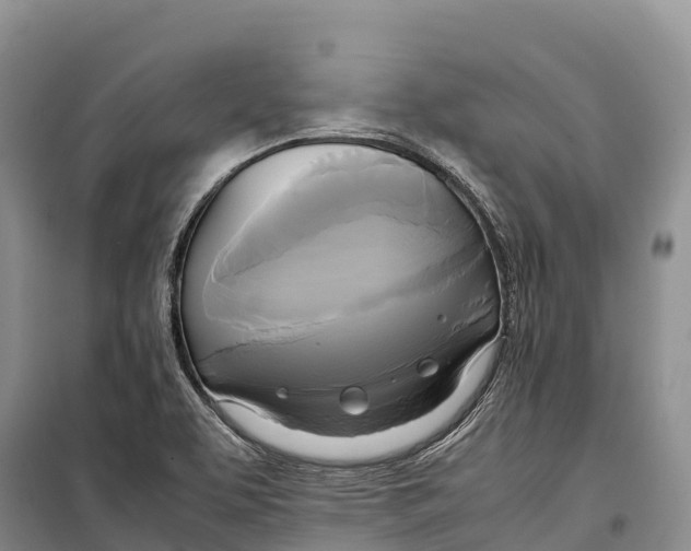 X0000099231463200805151619