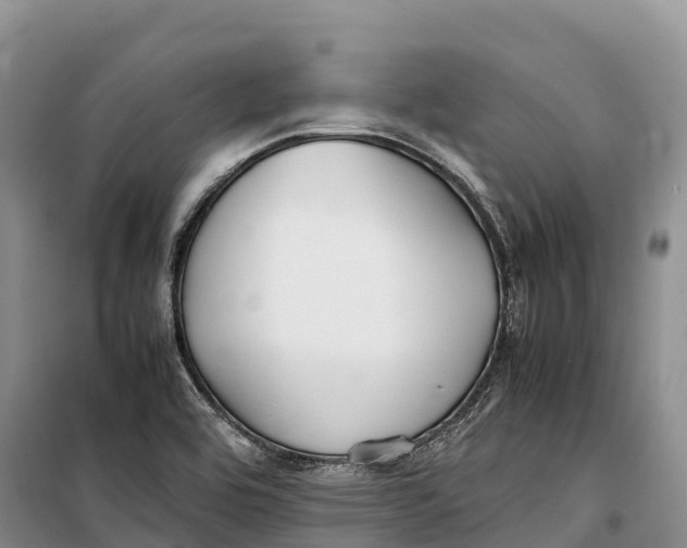 X0000099231464200805151619