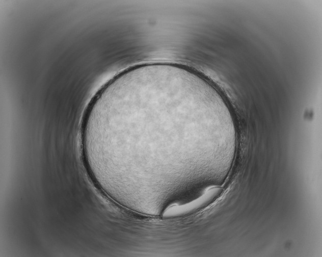 X0000099231469200805151619