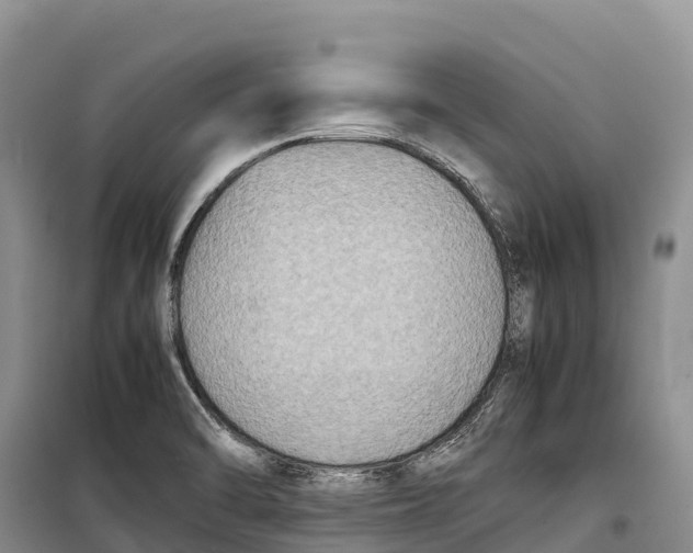 X0000099231470200805151619