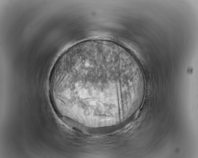 X0000099231471200805151619