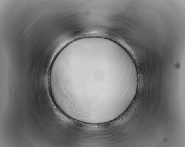 X0000099231474200805151618