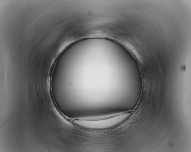 X0000099231476200805151618