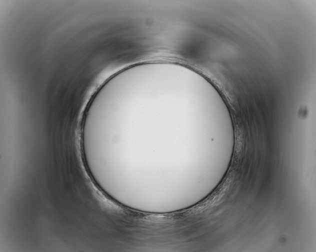 X0000099231478200805151618