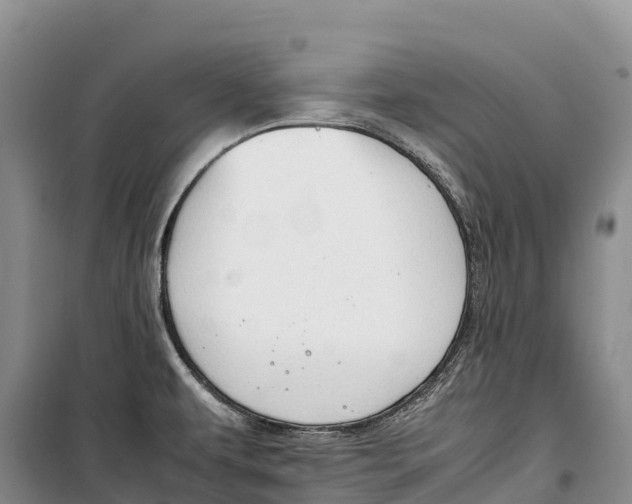 X0000099231479200805151618