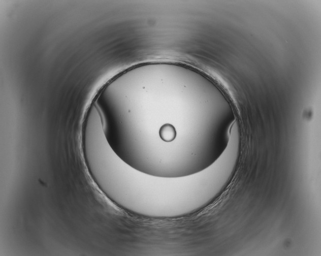 X0000099231480200805151618