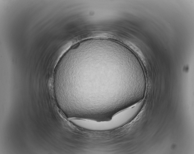 X0000099231481200805151618