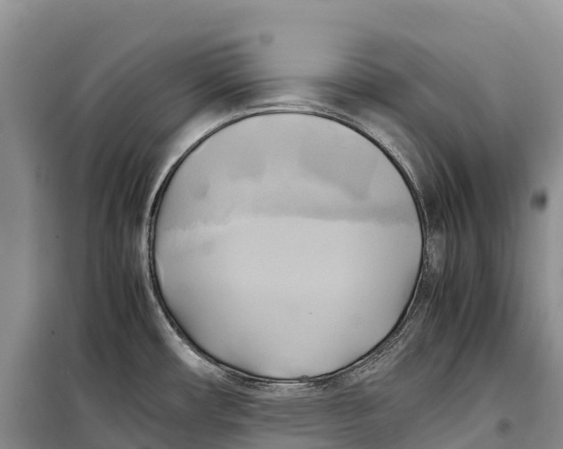 X0000099231482200805151618