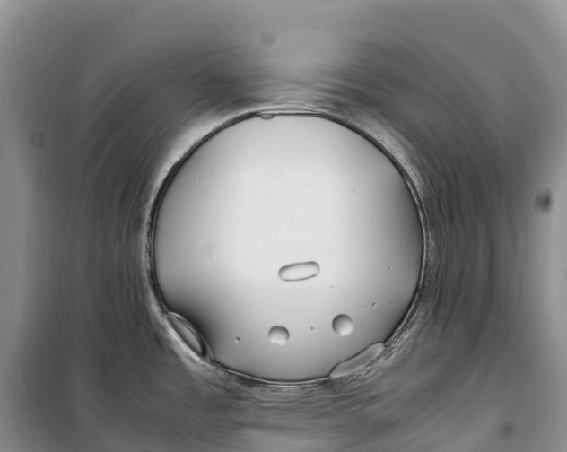 X0000099231485200805151618