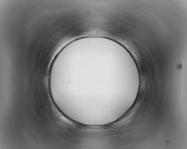 X0000099231486200805151618