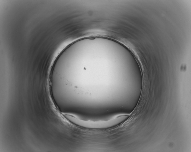 X0000099231488200805151618