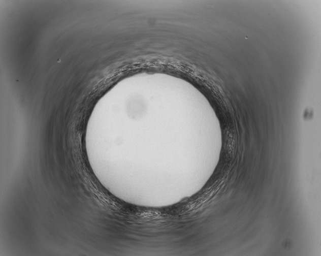 X0000099231489200805151618