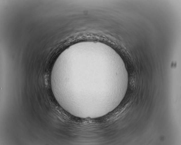 X0000099231490200805151618