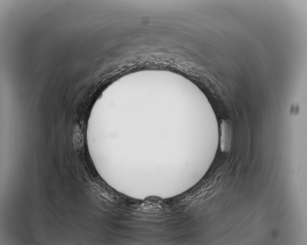 X0000099231491200805151618