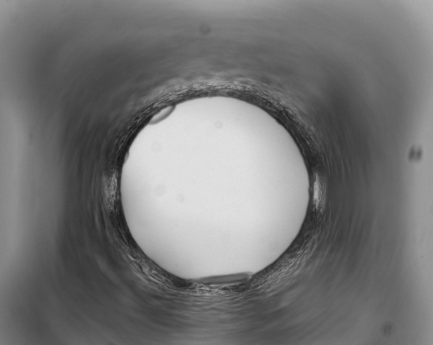 X0000099231492200805151618