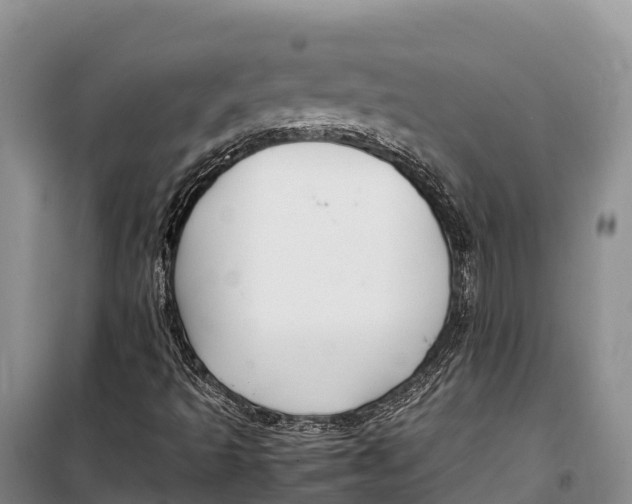 X0000099231493200805151618