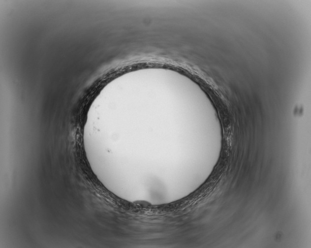 X0000099231495200805151618