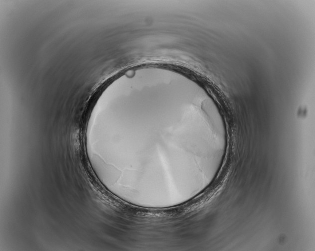 X0000099231497200805151618