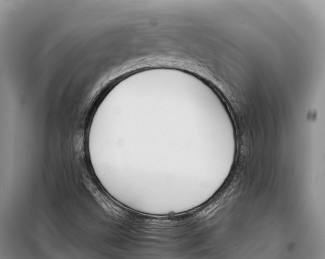 X0000099231499200805151618