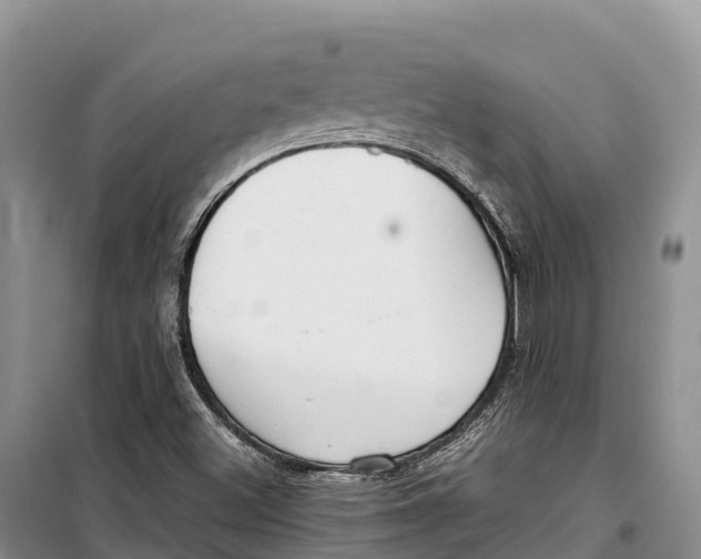 X0000099231500200805151618