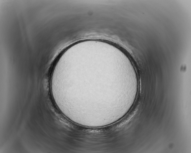 X0000099231501200805151618