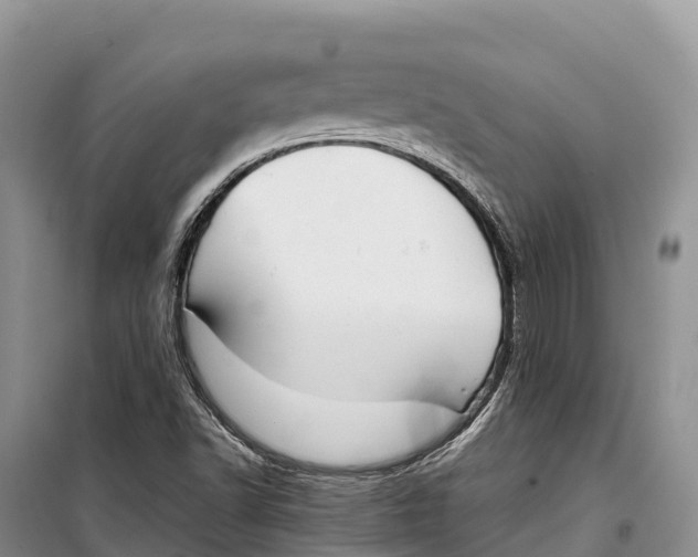 X0000099231502200805151618