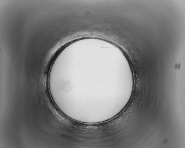 X0000099231503200805151618