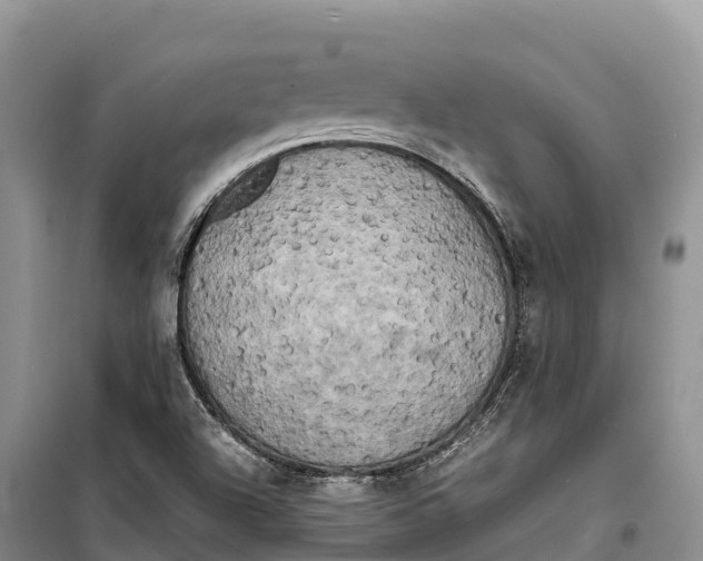 X0000099231504200805151618