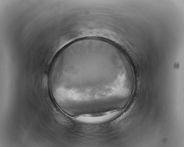 X0000099231505200805151618