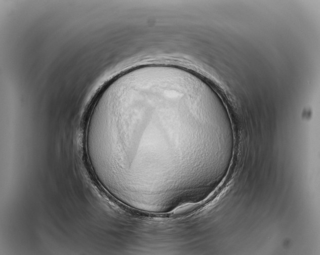 X0000099231506200805151618