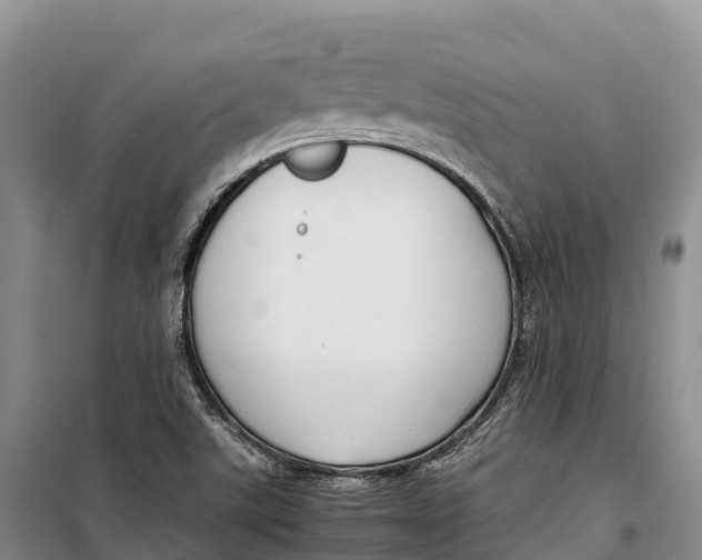 X0000099231507200805151618