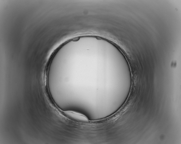 X0000099231510200805151618