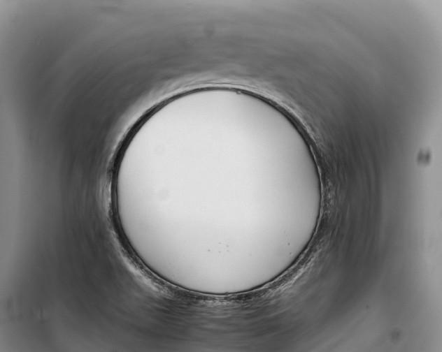 X0000099231511200805151618