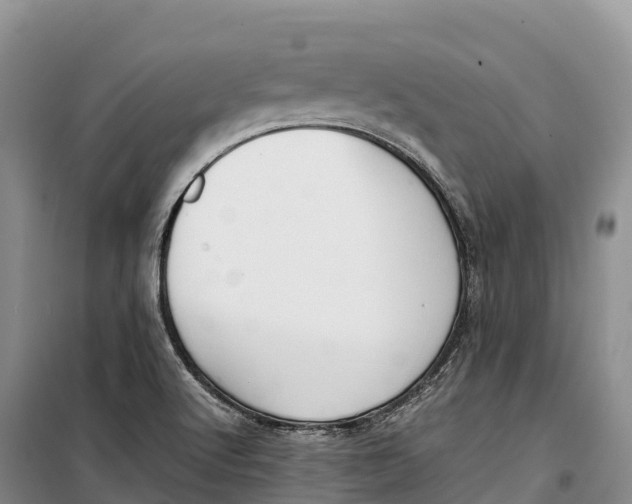 X0000099231512200805151618