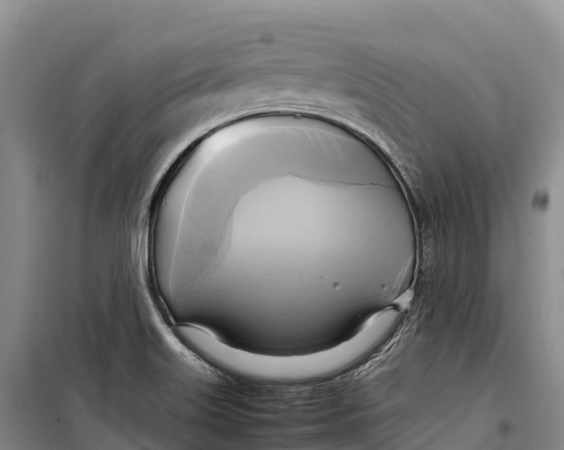 X0000099231515200805151618