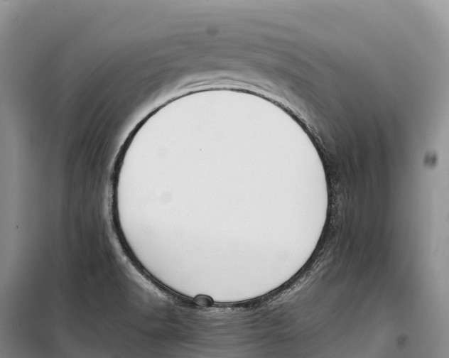 X0000099231518200805151618